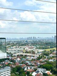 The Trizon (D10), Condominium #519530081